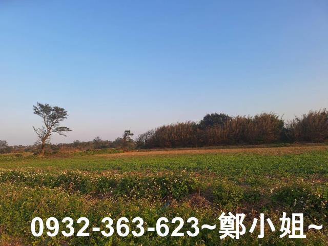 桃園觀音農地-10