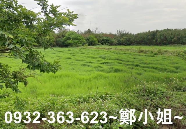 桃園觀音農地-12