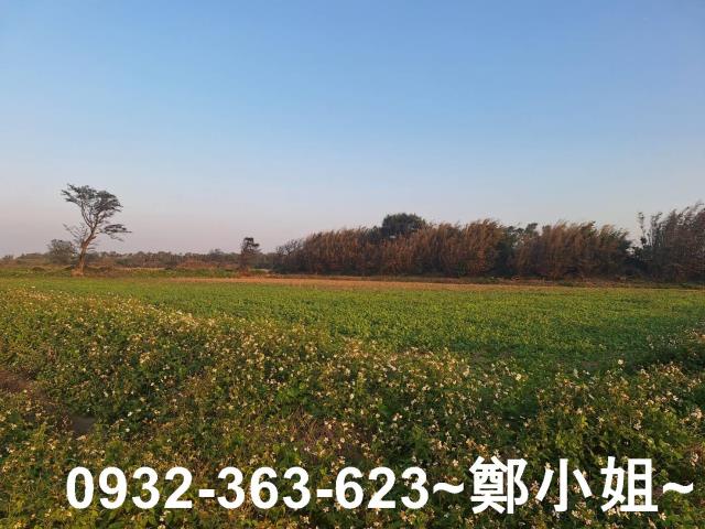 桃園觀音農地-1