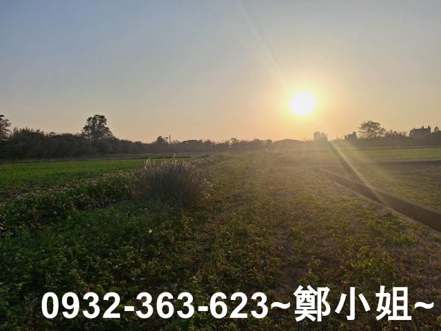 桃園觀音農地-3