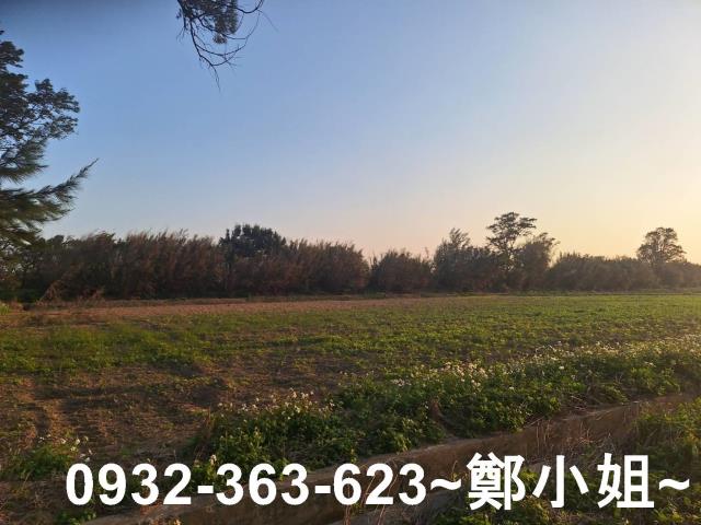 桃園觀音農地-5