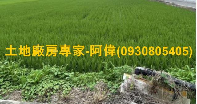 高雄大寮農地-0