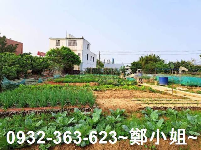 桃園平鎮農地-6