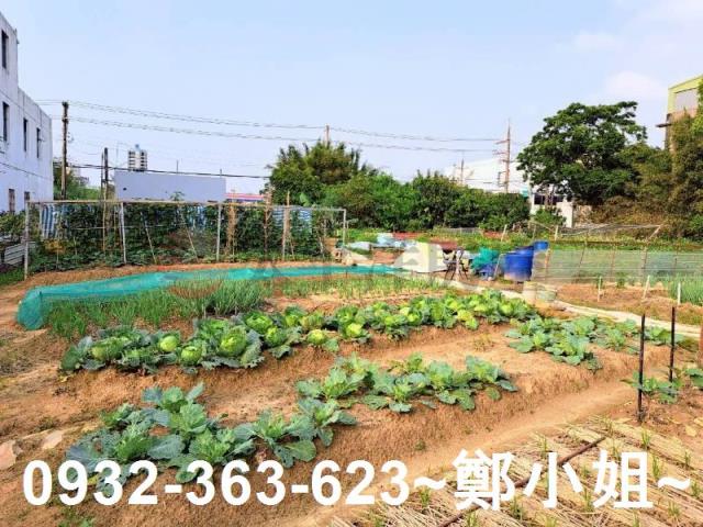 桃園平鎮農地-7