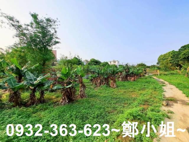 桃園平鎮農地-8