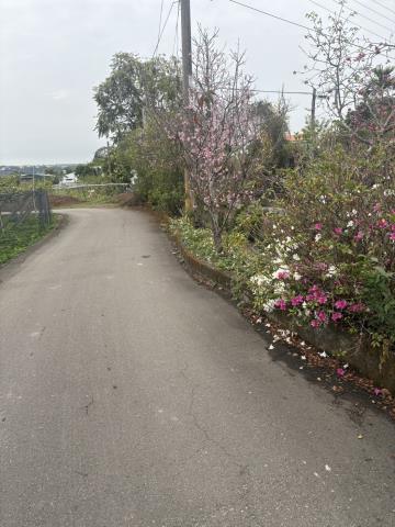 東勢高工漂亮田地