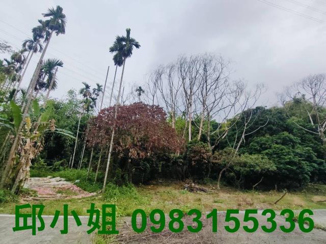 竹崎農地-9