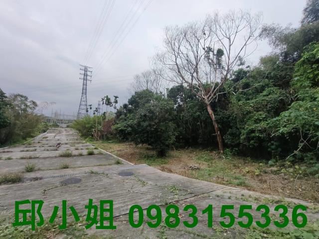 竹崎農地-12