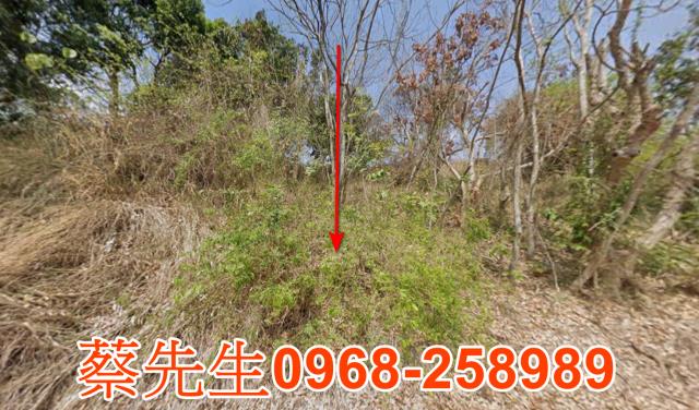 花壇聽竹街23巷農地種植經濟農作物果樹