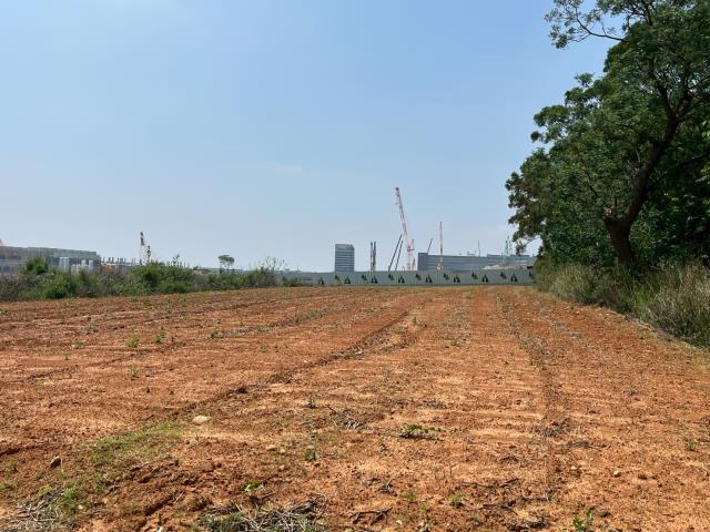 大雅土地