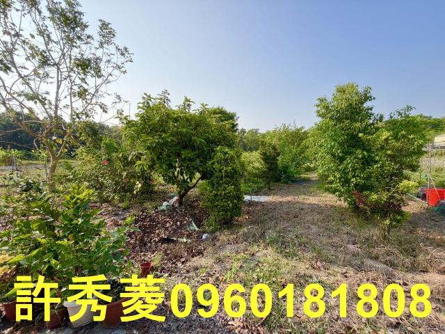 岡山農地-5