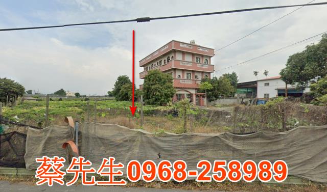 大村慶安路農地種植經濟農作物果樹