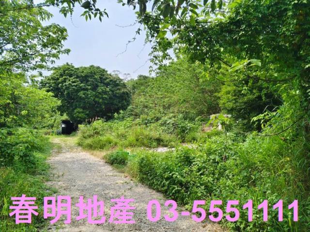 東區風景地-4
