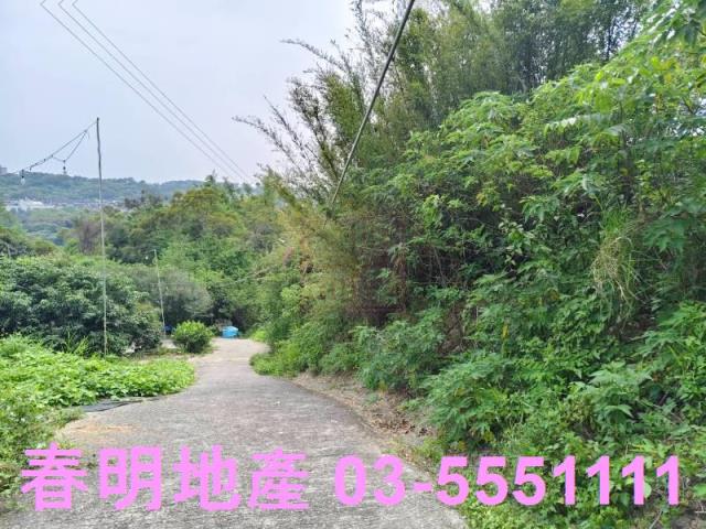 東區風景地-6