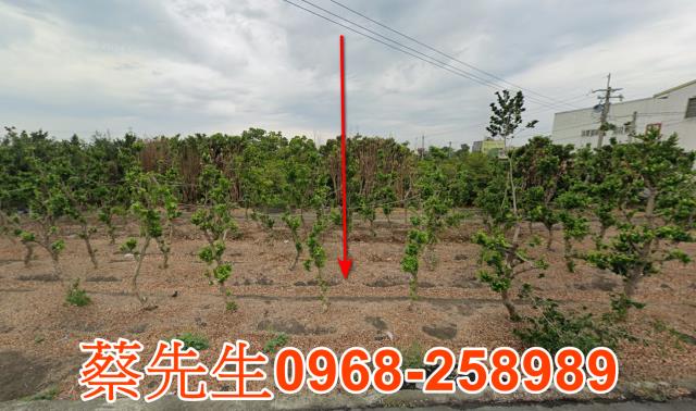 埤頭光復路農地種植經濟農作物果樹