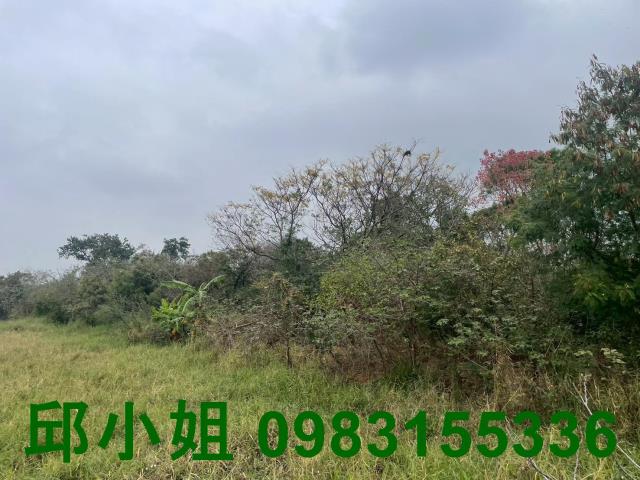 嘉義買房賣房房地合一稅建地農地