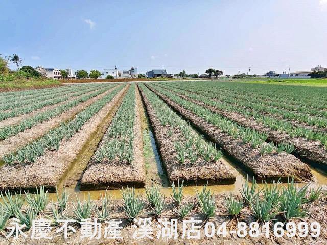 彰化溪湖埔鹽埤頭二林秀水福興建地工業用地田地農地店面透天別墅