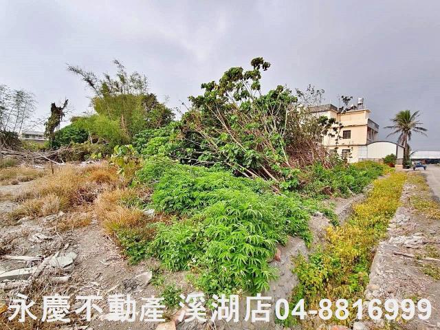 埔鹽建地-5