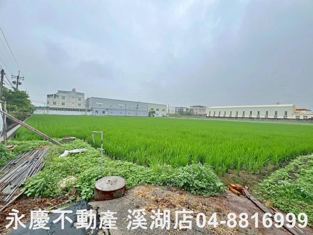 秀水農地-1
