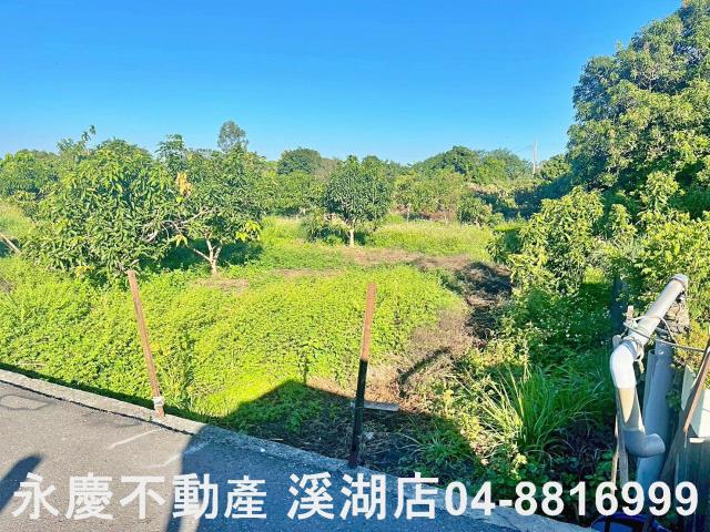社頭農地-8