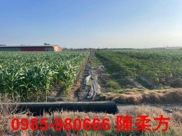 六腳農地-1