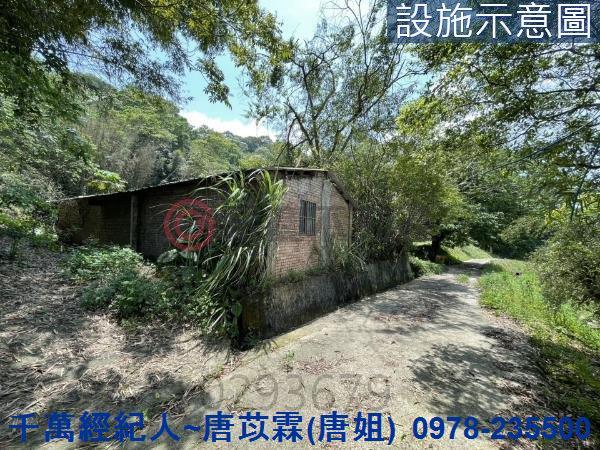 橫山農地-9