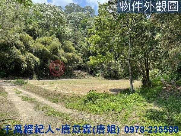橫山農地-12