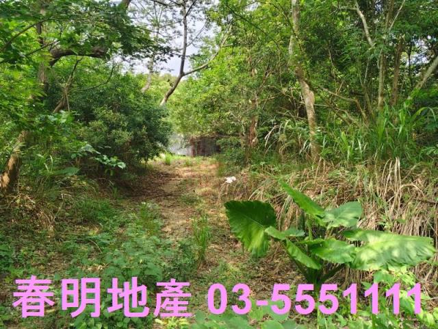 東區風景地-0