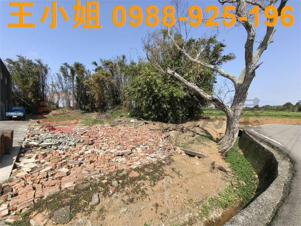 觀音農地-2