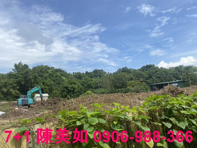 大社農地-0