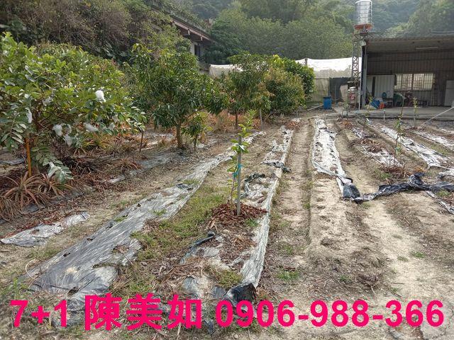 高雄農地-0