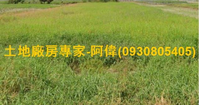 台南農地-0