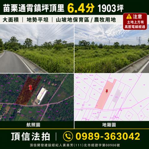 法拍苗栗通霄64分平坦山坡農地價格優勢型卡位