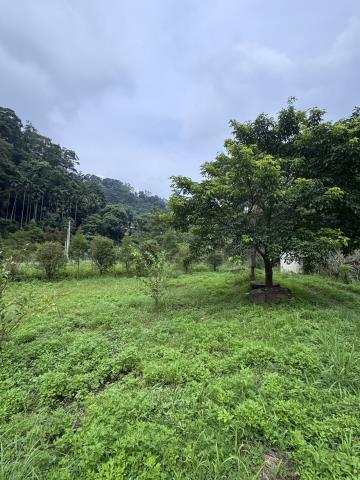 農保地休閒用地