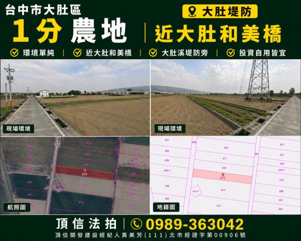 大肚法拍農地-0