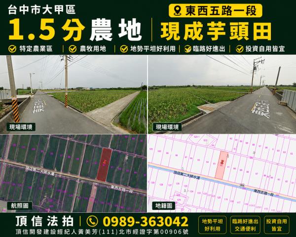 法拍大甲東西五路15分農地現成芋頭田
