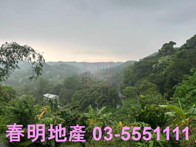 新竹農地-12