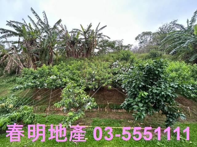新竹農地-1