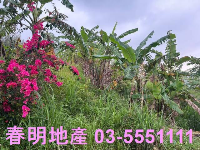 新竹農地-3