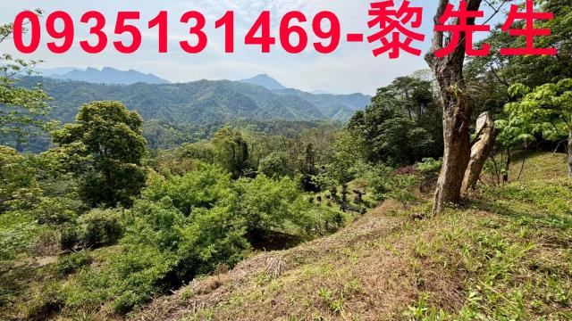 北埔土地北埔農地