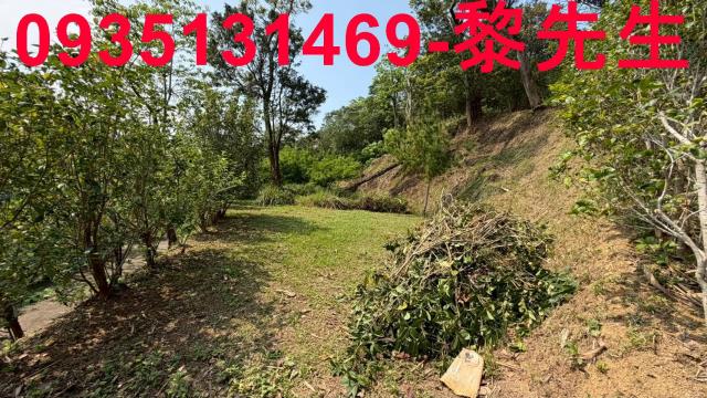 新竹農地-4