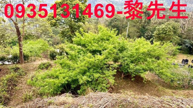 新竹農地-5