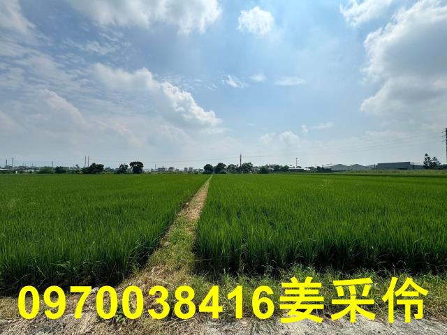 嘉義民雄農地-2