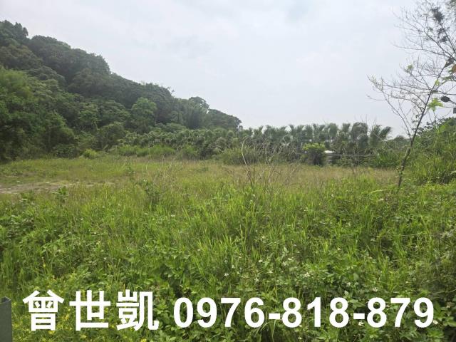 新竹關西農地-10