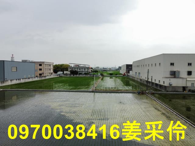 嘉義鹿草農地-4