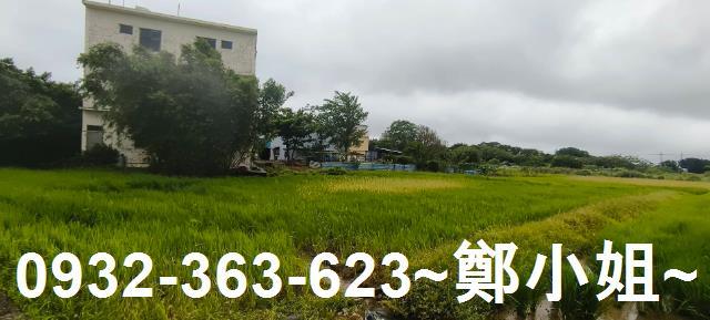 市府二期竹圍段拔子林小段農業區農地出售