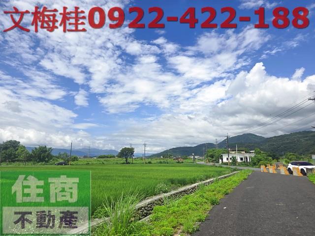 宜蘭員山農地-0
