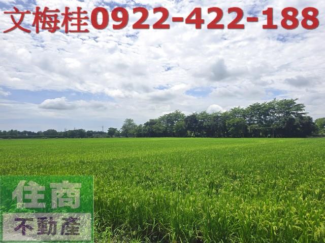 宜蘭員山農地-8
