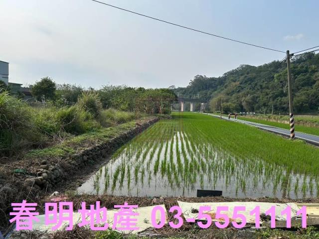 竹北農地-9