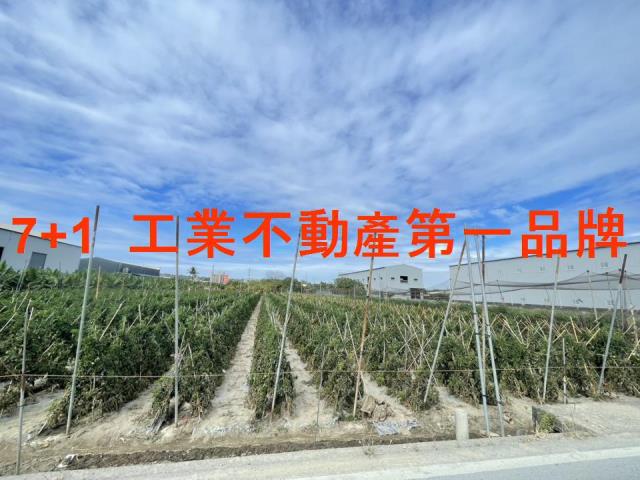 大寮農地-0